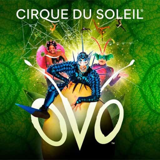 Cirque du Soleil Ovo Tickets DC Theater Shows 2024/2025