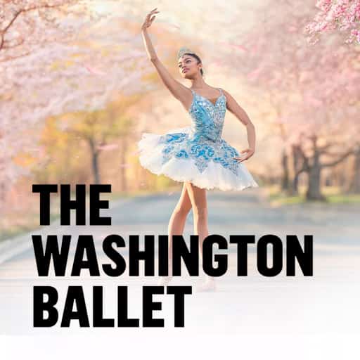 The Washington Ballet